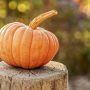 31.10. (ČT) – HALLOWEENSKÝ PODZIMNÍ WORKSHOP  (jesličky + miniškolka + školka)